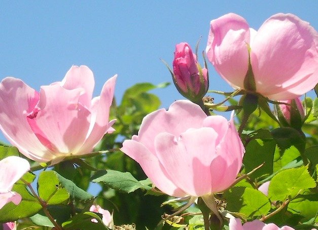 47ab3b587b6265be3e3b070e3b023b6f06b182f8.png