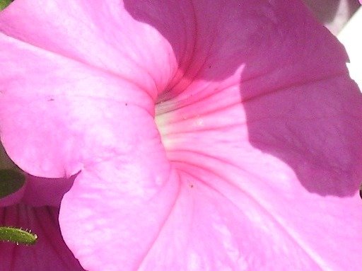d8516c69e5596f24cd490bf3486b04b7e1d74f88.png
