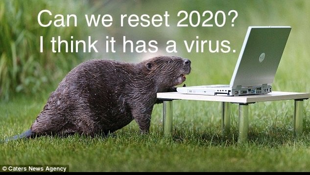 e41e0d765b4a178ab8d00d1a92493338613d833c.png