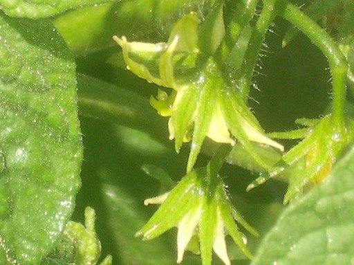 fbd86ad8ea657adde3f04be55ec59e2be7679ca1.png