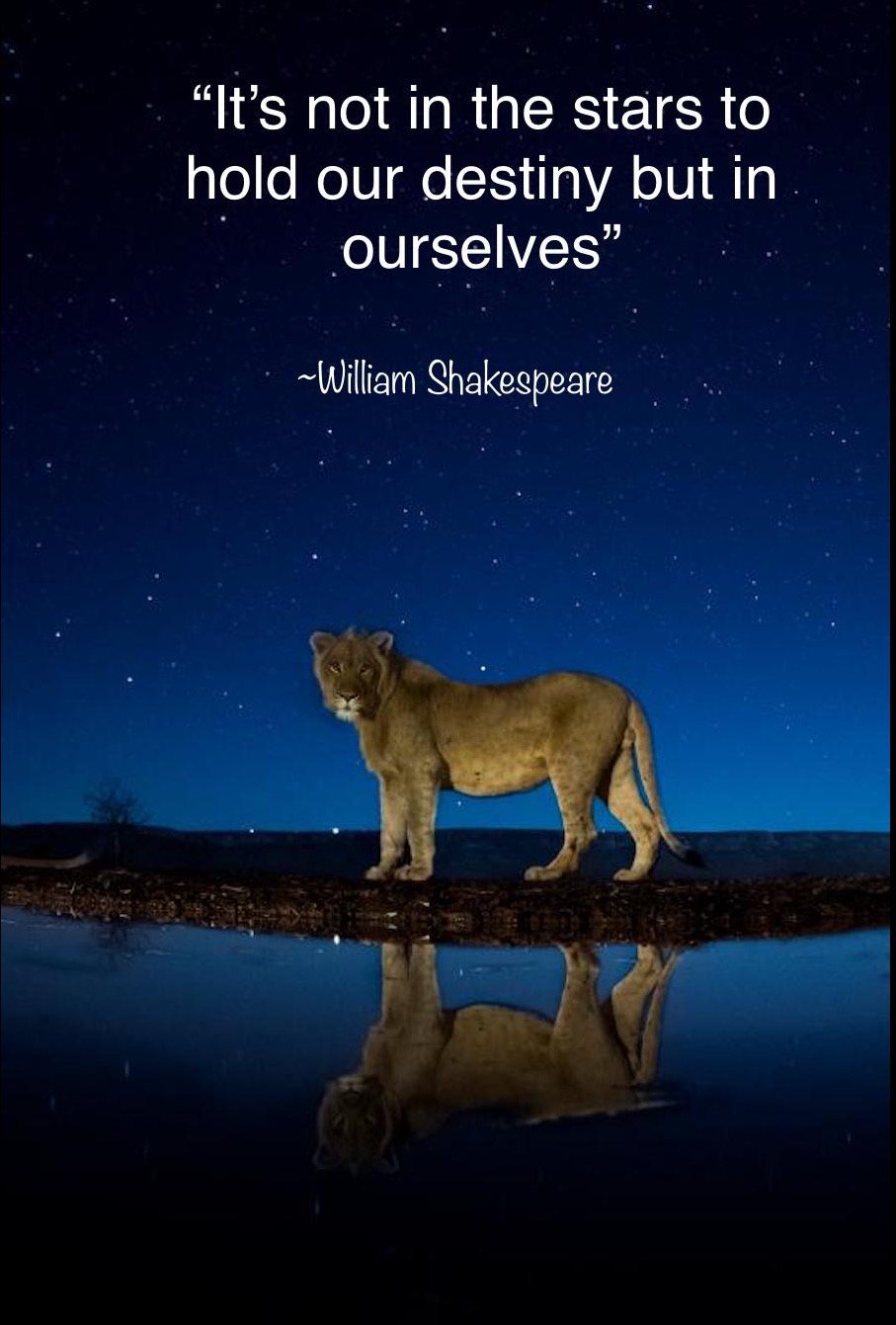 068f3683504c09e62958f9c1793c76ee7d858f0b.png