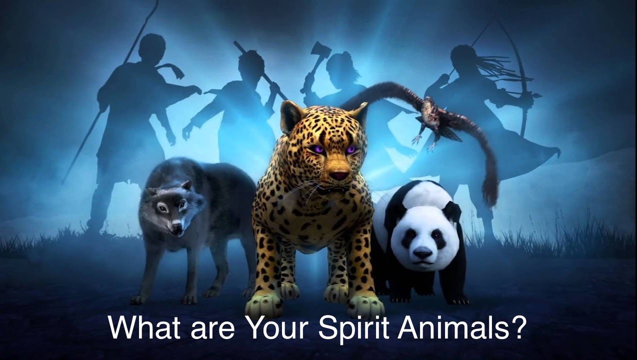 6a097d6362b5c9f964d92394b749c2db5e3fa53b.png