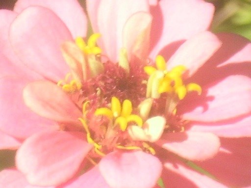 8090d67354acd8c4181ddafb4e3463cad4b0ef0a.png