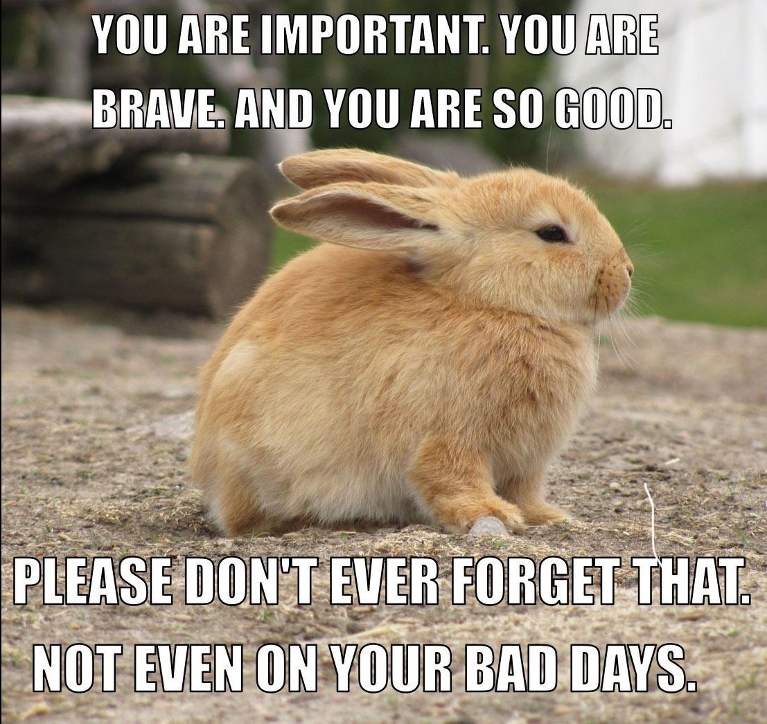b985ea59d0268e441639348a6293830895292610.png