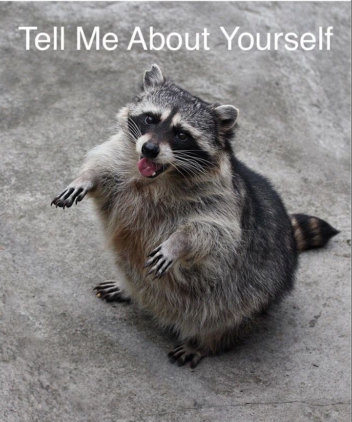 d36802889496f8cd4c07a32cd2828903411037f0.png