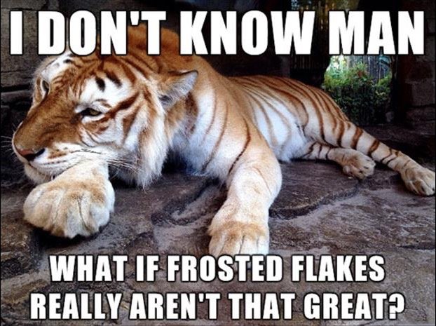 fbb5f834ed4398eb1ca5b57fa4ccd471b1f07b28.png