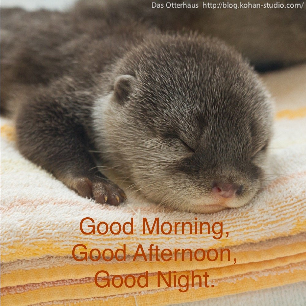 0b0beea721bc63d50a256905770f19094e0f6626.png