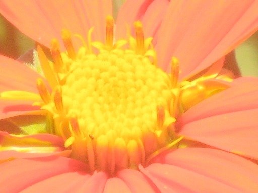 5f61f6dae1ef349069a046096dd839defa8682f3.png