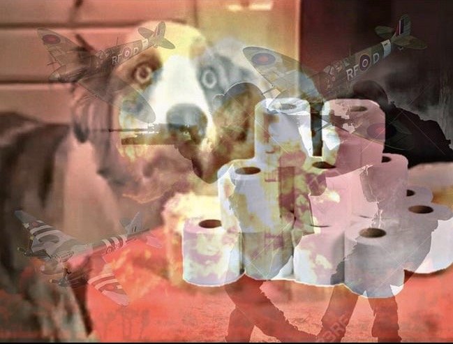 5fd63d4877026528b224abebcaa40b8f79a625da.png