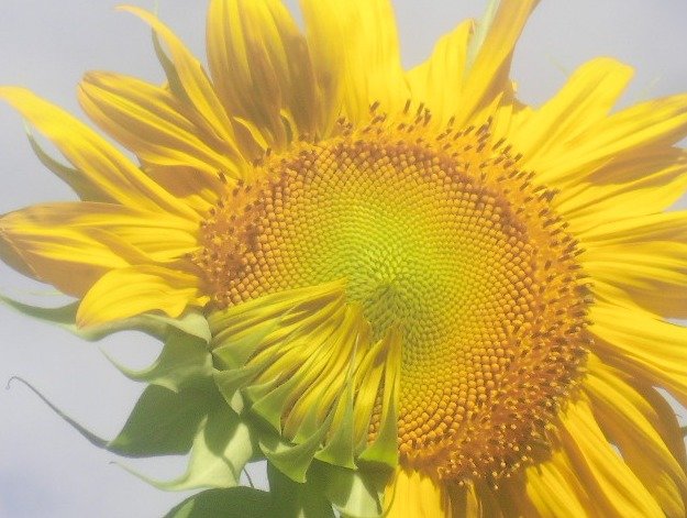 a1ec9826545cf46b13cf283a3002e1a6ef156e50.png