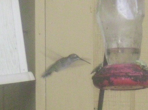 b60670c3488dc17855ff4d4701c9968d089adcd1.png