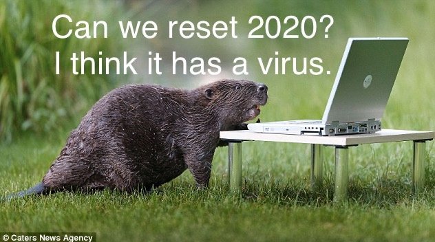 c2a3c705491522900ff48ae3b1d7f64374278b7e.png