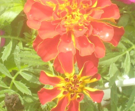 cbc54ec1db3d14deb4c1091e0513c7ea1acc530e.png