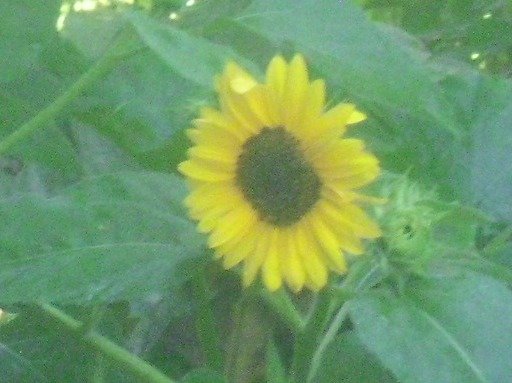 d2dbb54def7b56eed7788635ac9abe33033e5358.png