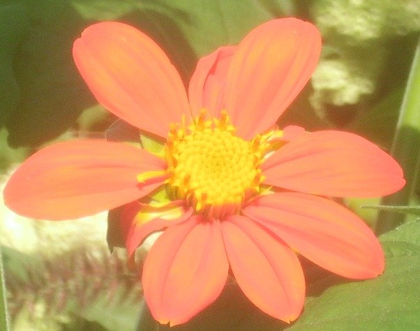 ee659a9ec3460270eac73f240e2a8df7f2934bd2.png
