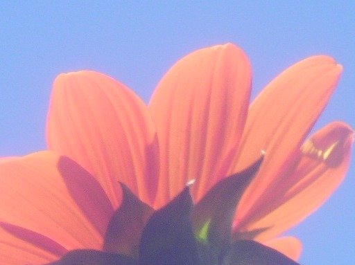 9b17effcb548ed8605c989337ece5625c534c03b.png