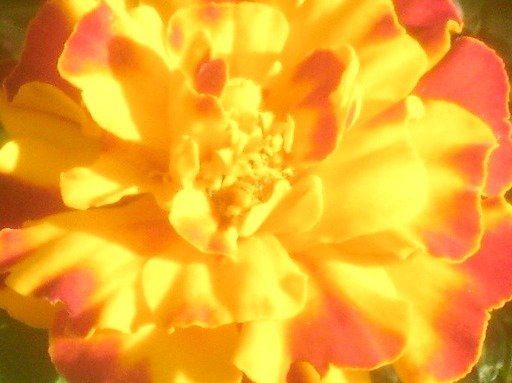 ef93e4b4cf2618636b149d8f29b041c8ffa4b253.png