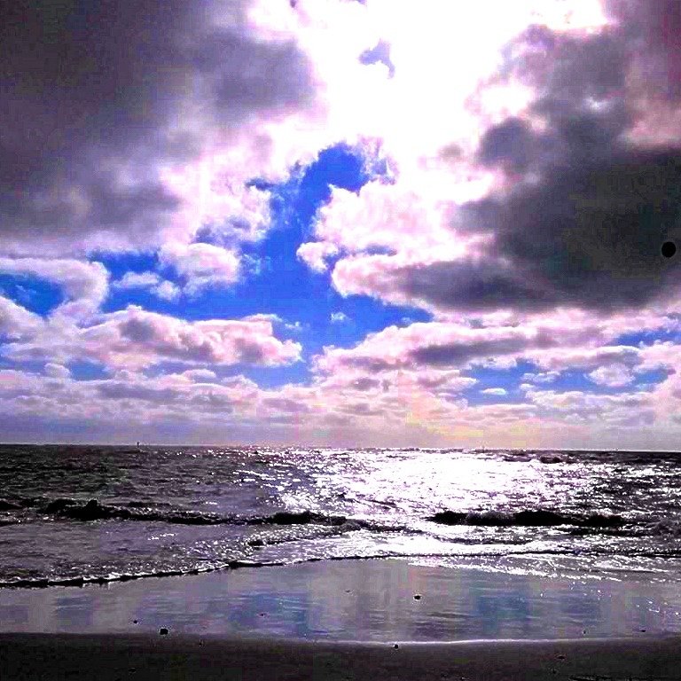 1e044511eff9169a00965bd3b3feff172819794f.png