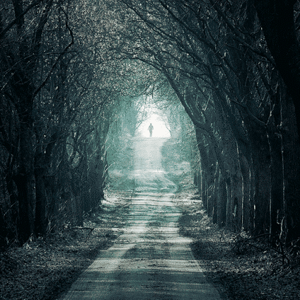 d038f47353cc0fd526a09e4bceca877ddbd1b3e8.png