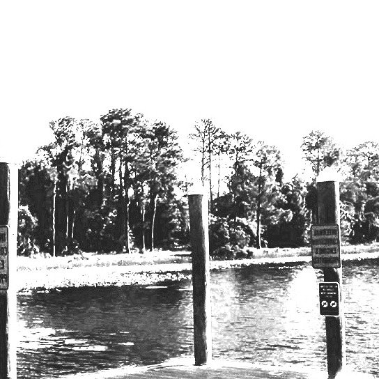 d8a7c31417148082a161b56de0a0c863e14ef98d.png