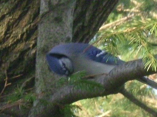 848fe4a9dd28bf1d654d4a4ac0bf78447b70d096.png