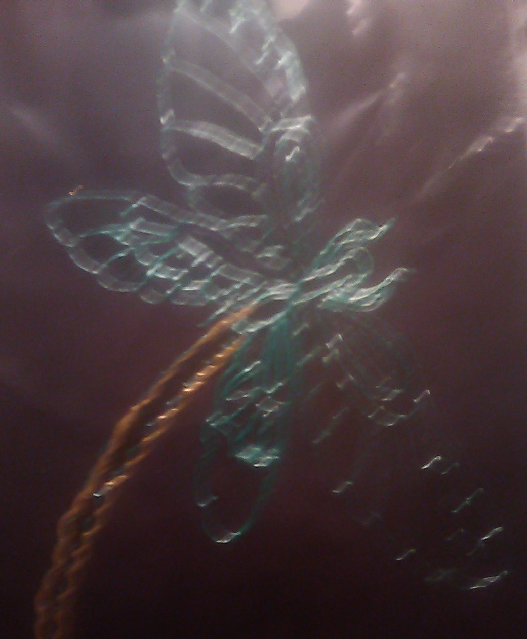 d808c378c07d91653072e2aeeabf560278a12415.png