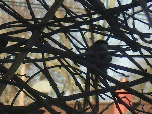 4a02009b408af7c4d4f59838b1c962208e0c44e8.png
