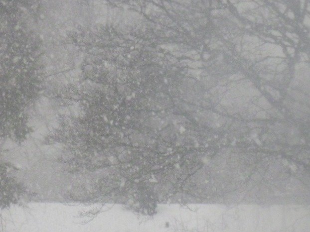 9d3527505cefa8094e00f29fcc7d0c0579ee573e.png