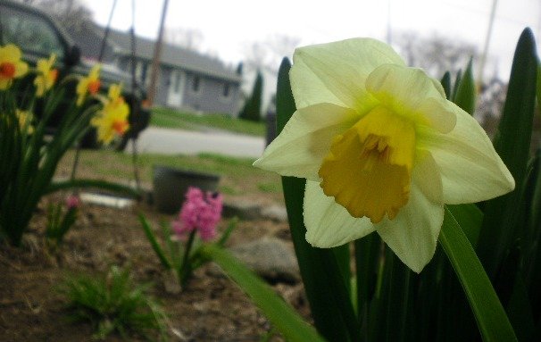 a3d2e9ffa0544f33e8e60a936e7727e7349c36ce.png
