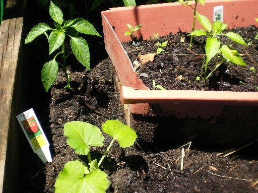 81bc4afcdc74d68b6bc50e3f619d1e46062d9890.png