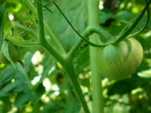 5bb7f5ebb12de4df64487889222520da5f5f876c.png
