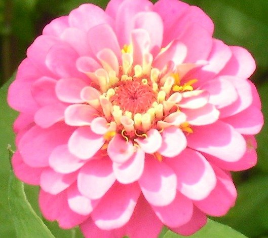 a1bea6fab6864d6cc1b097f00917b6fbe8eb7355.png