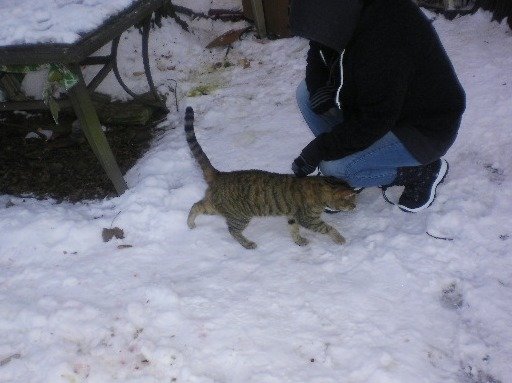2b5e8f13bb0cce5a2083e88e86a7fd62d61e656c.png