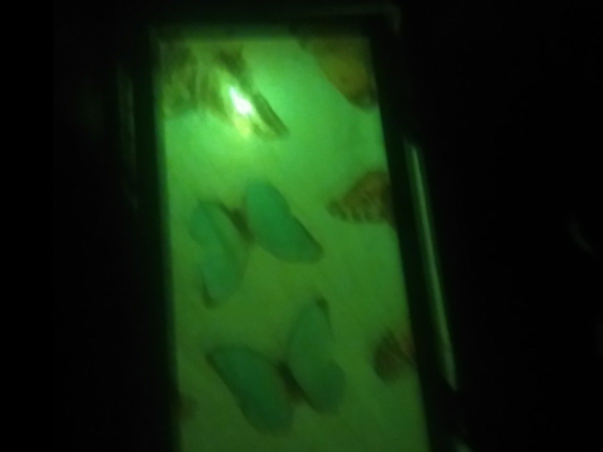 70a7af21a4bb3c02ce84ec4446d4a2fa8b298c52.png