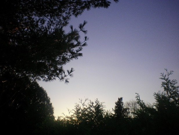 df3efd7c7ad79517c00042d30501c0fc4e6b1d81.png