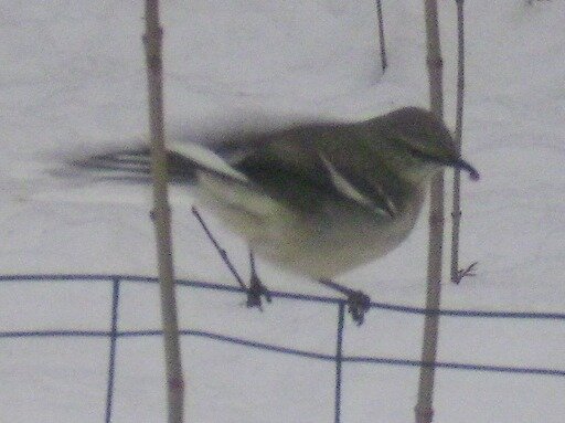 abd02f54e858c9dc3949aab771c4409b3281b1ed.png