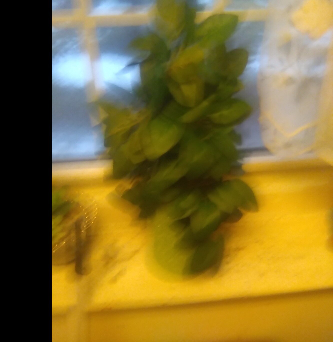 bc607be554e67db5b418419d021763932e753c49.png