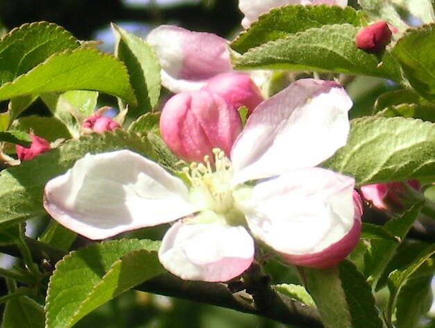c1134b6e1eef7beae97f9fafb6c247655c5ede36.png