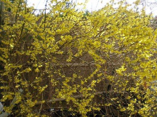 c8ec66038cafad19735caf72791d1391a993c762.png