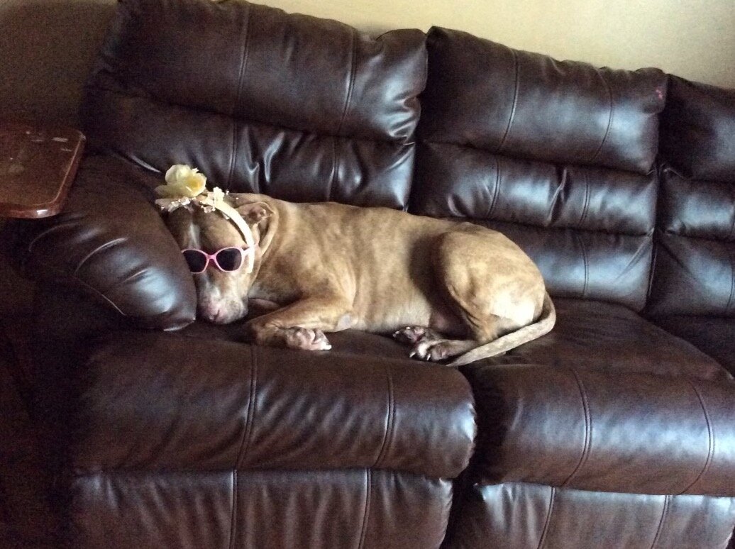 0ca16b9ad8d08153f817713b0995a3d7258ee670.png