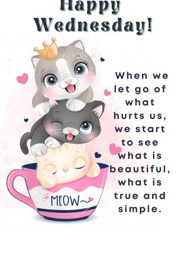 519dba50e9597ee745b7127eae012feb797457c1.png