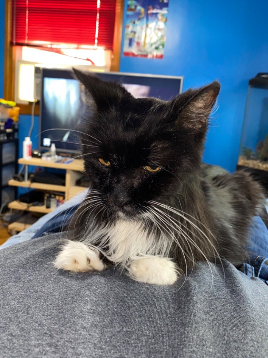 52f1792b3c68efde13471f875f8ac09ae9abe59e.png