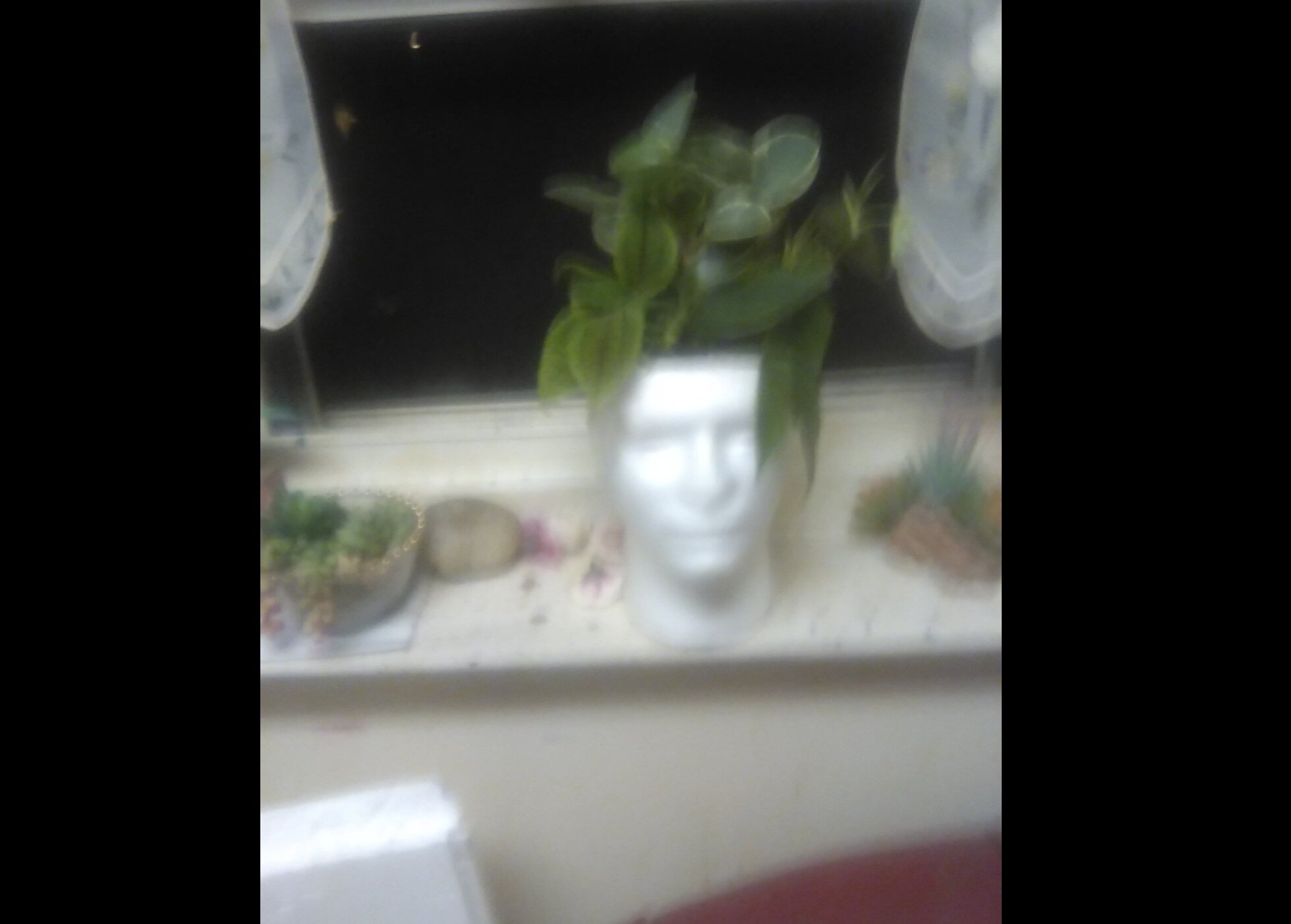 d41524f4bd87c51391e53c01cccc999fcb3e4a52.png