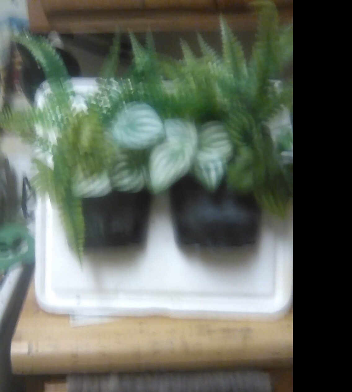 dba42676cbff390255dd7f575bc234a6bdc92e03.png
