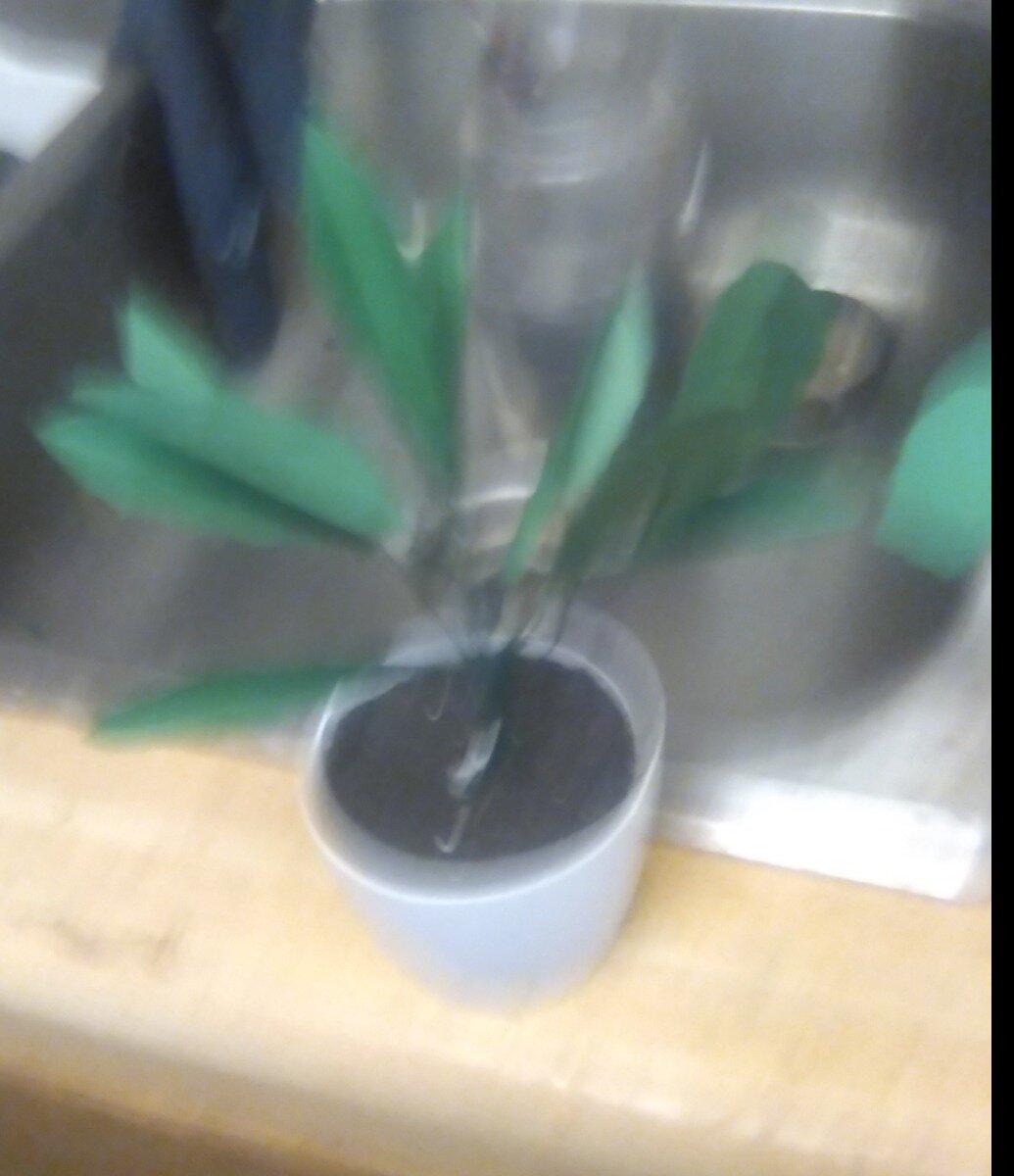 2c497023d84da8023f646ec9d9ba1ed9fd37e48f.png