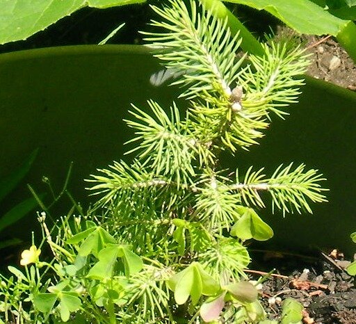7765ec7e4448b98273b5e68566d896ec7cb75fef.png