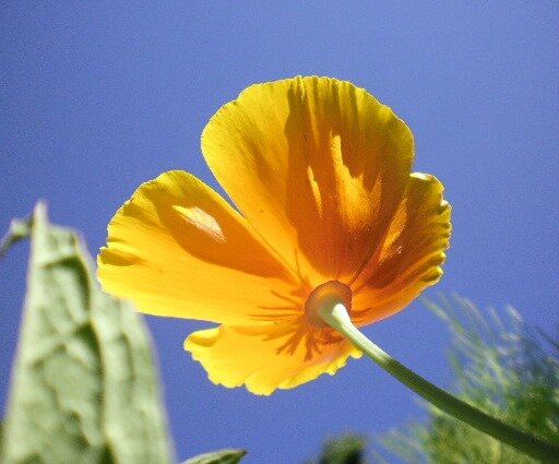 70aa28ba45fc4309b7b8650e6a73765c3f251155.png