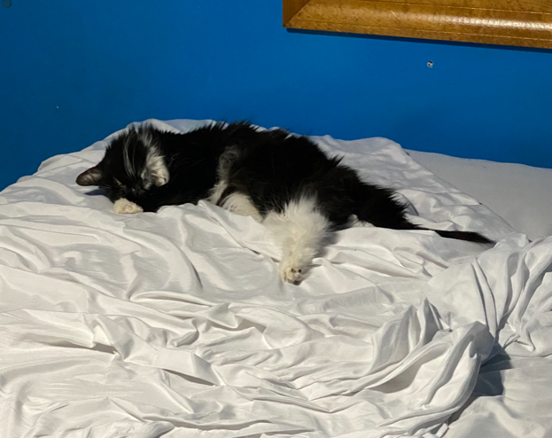 aef5e3c4e63a58603e14fb26e6d4fe56a9edbecb.png