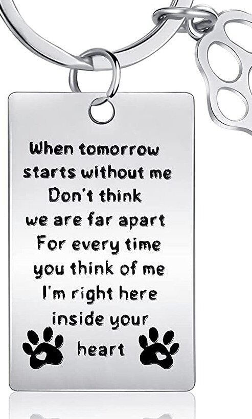 3ba2bdb9f699e7410c49514649fac4474fbcea59.png
