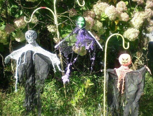3eb9bf2cc3c4627d80a103606981675014383473.png